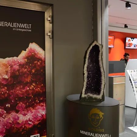 Апартаменты Goldstadt Business